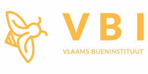 Embuild Vlaanderen Logo