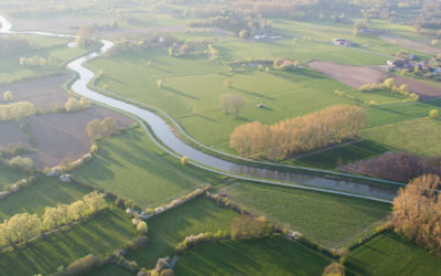 Wetlands4Cities