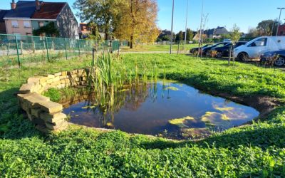 Greening of the Federal Police site in Asse