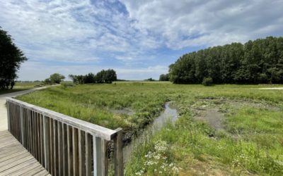 Buffer basin Nossegem