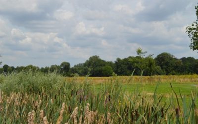 Landscape park Frijthout