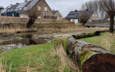 Reynaertwijk