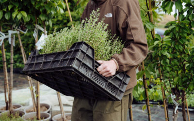Ecoflora