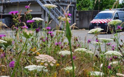 Stations d'épuration des eaux usées d'Aquafin