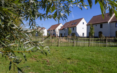 IPON’s construction projects