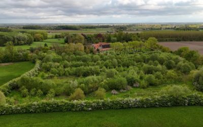 Food forest De Nieuwe Hof